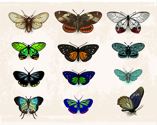 Vintage butterflies specimen design vector 01 vintage specimen butterflies   