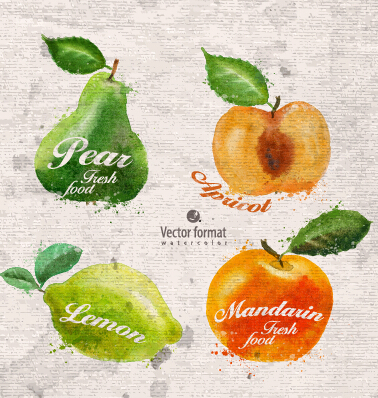 Drawn watercolor fruits vector design set 03 watercolor fruits drawn   