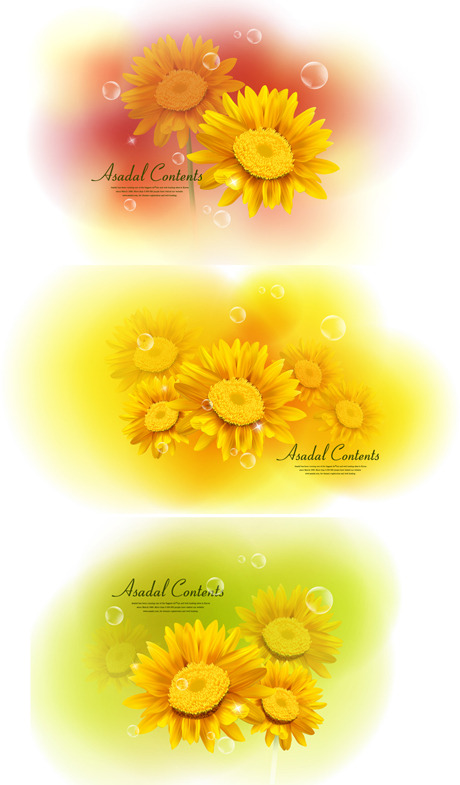 Yellow Floral background yellow background flowers chrysanthemum   