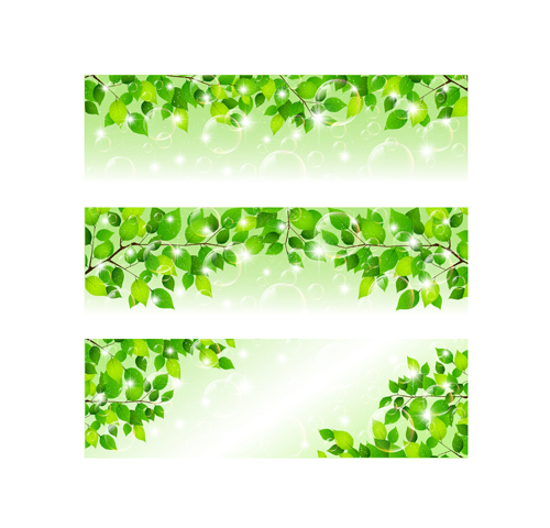 Bubble and tree leaves vector background 02 Vector Background tree leaves leave bubble background   