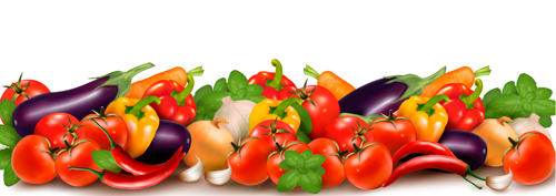 Various vegetable vector art background 02 vegetable Various background   