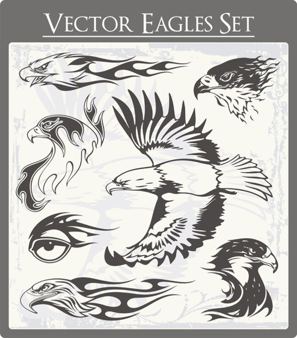 Eagle free vector 01 vector eagle   