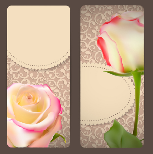 Rose cards with decor pattern vector 02 rose pattern decor cards   