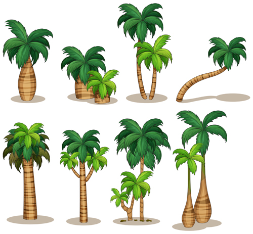 Sea islands palm tree vector material 05 title Sea island sea Palm islands   