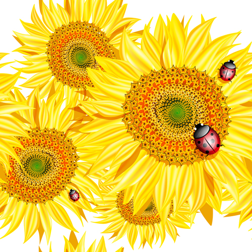 Sunflowers with Ladybird vector vector sunflower ladybird free flower design   