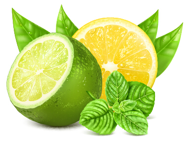 Yellow lemon and green lemon vector yellow lemon green   