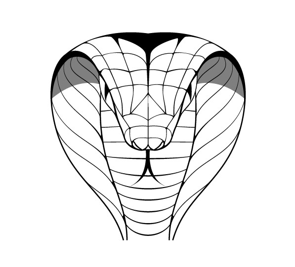 Hand drawn cobra design vector hand-draw hand drawn Cobra   