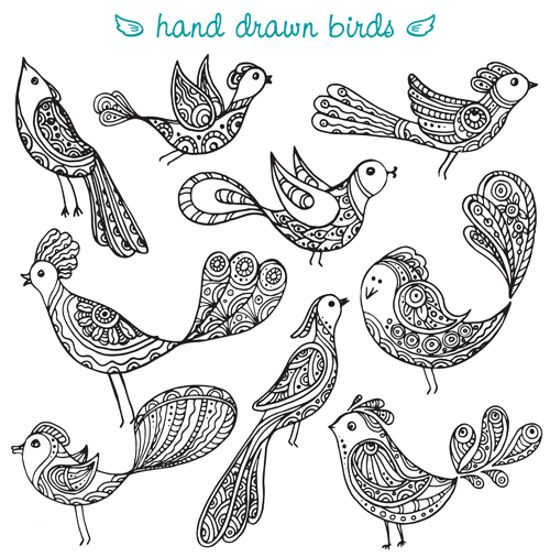 Hand drawn birds vector set hand drawn birds   