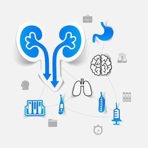 Medicine infographic with sticker vector set 27 sticke medicine infographic   