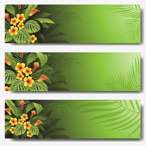 Vector tropical plants green banner set tropical plants green banner   