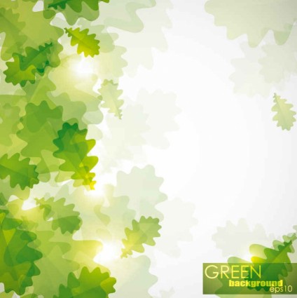 Shiny green leaf backgrounds vector 01 leaf green background   