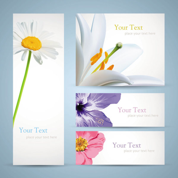 free vector with Flowers banner 01 vector flowers flower banner   