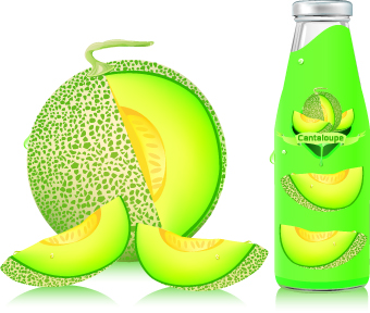 Cantaloupe Drinks with packing vector 04 packing drinks Cantaloupe   