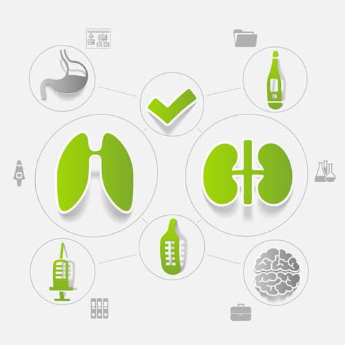 Medicine infographic with sticker vector set 11 sticke medicine infographic   