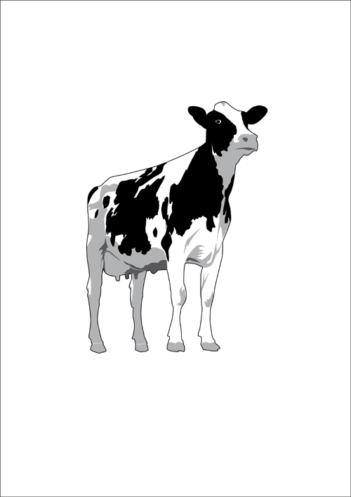 Different Dairy cow design vector graphics 04 different Dairy cow cow   