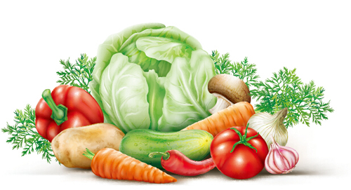 Different vegetables fresh vector 01 vegetables fresh different   