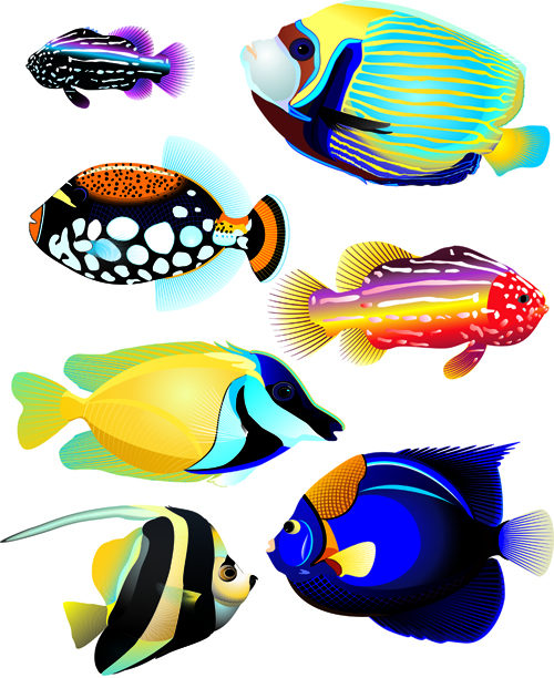 Set of Various Fish vector 01 Various fish   