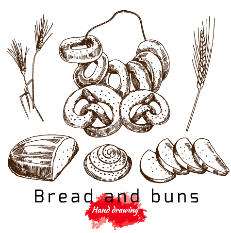 Hand drawing bread and buns vector hand-draw Hand drawing drawing buns bread   