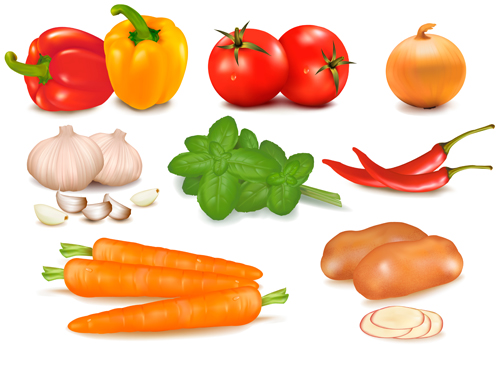 Set of Different Vegetable mix vector 02 vegetable mix different   