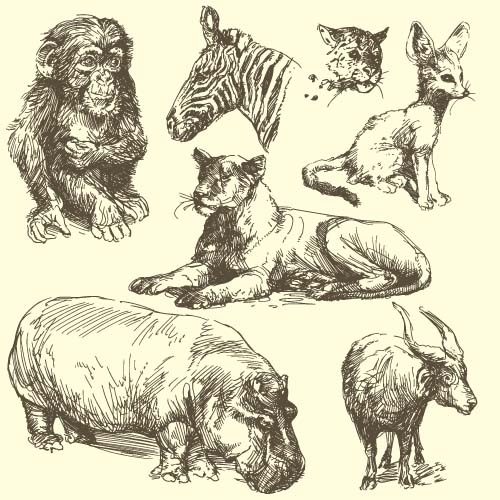 Wild animals hand drawing vectors set 03 wild Hand drawing animals Animal   