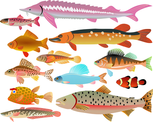 Set of Various Fish vector 03 Various fish   