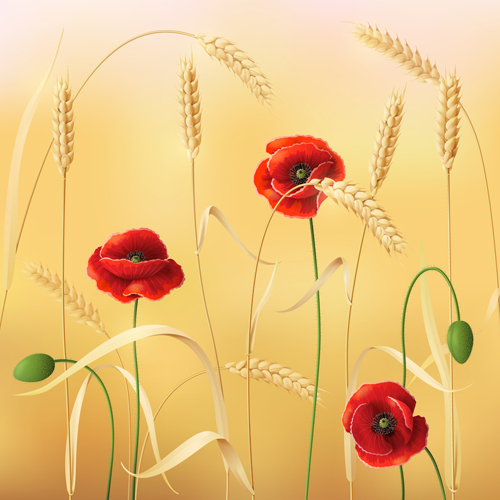 Poppy with wheat design vector background 01 wheat poppy background   