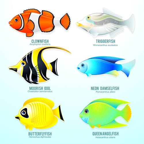 Set of Various Fish vector 05 Various fish   