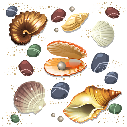 Shining seashells design vector set 04 shining seashells   