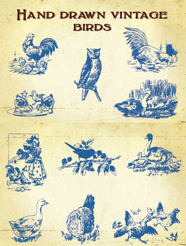 Hand drawing vintage birds vector material vintage material Hand drawing birds   