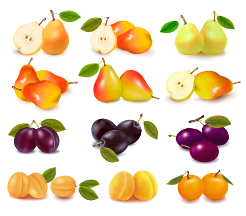 Shiny fruits design vector background 02 shiny fruits background   