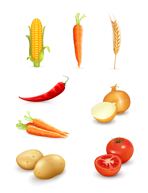 Set of Different Vegetable mix vector 03 vegetable mix different   