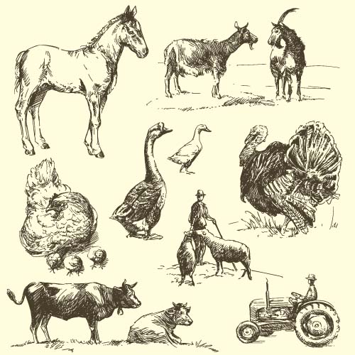 Wild animals hand drawing vectors set 11 wild Hand drawing animals   