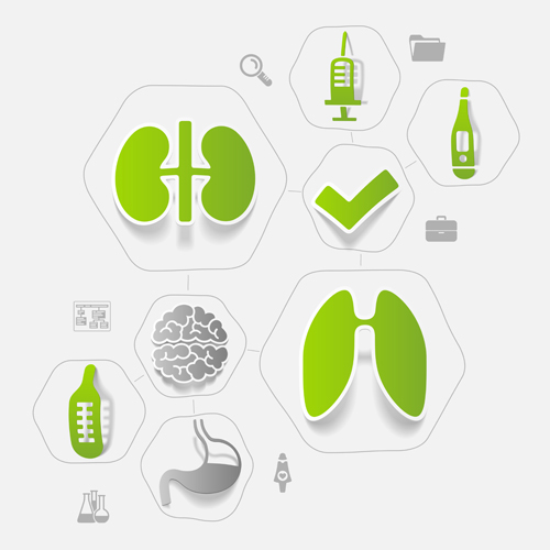 Medicine infographic with sticker vector set 12 sticke medicine infographic   