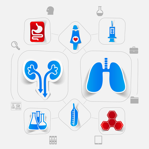 Medicine infographic with sticker vector set 01 sticker medicine infographic   