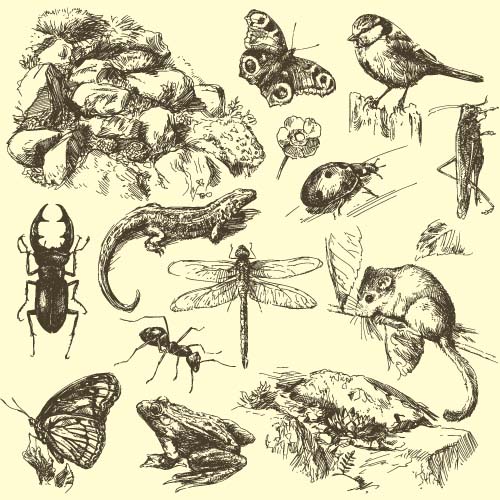 Wild animals hand drawing vectors set 01 wild Hand drawing Animal   