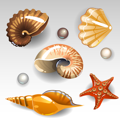 Shining seashells design vector set 03 shining seashells   