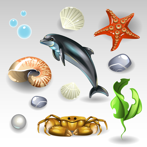 Shining seashells design vector set 01   