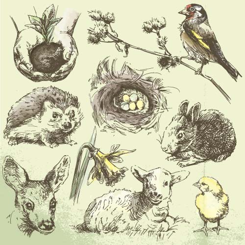 Wild animals hand drawing vectors set 10 wild Hand drawing animals   