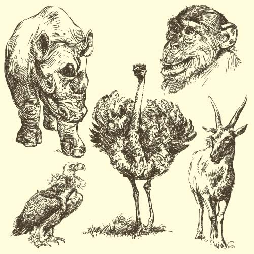 Wild animals hand drawing vectors set 12 wild Hand drawing animals   