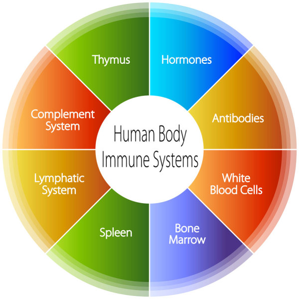 Medical infographics creative design vector 03 medical infographics infographic creative   