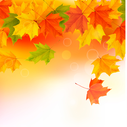 Shiny autumn vector background art 02 shiny autumn   