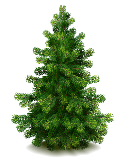 Christmas green fir 33921 material green fir-tree christmas   