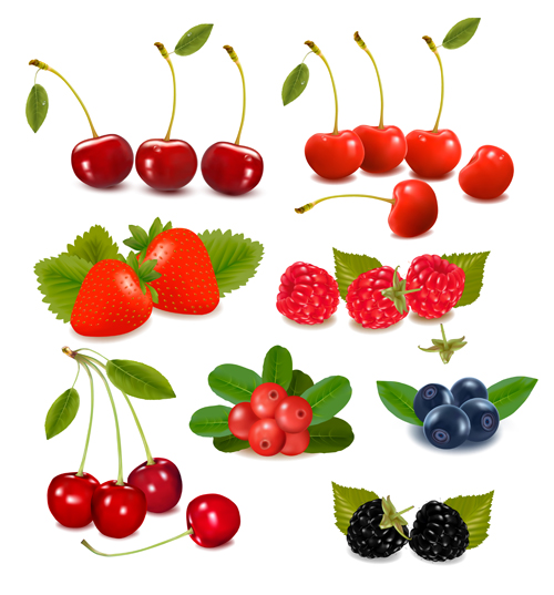 Vivid berry design elements vector 02 vivid Berry   