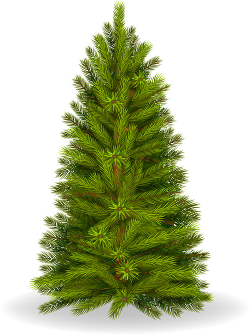 Christmas green fir 33922 material green fir-tree christmas   