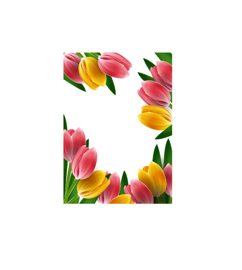 Tulips frames vector 02 tulips tulip frames frame   