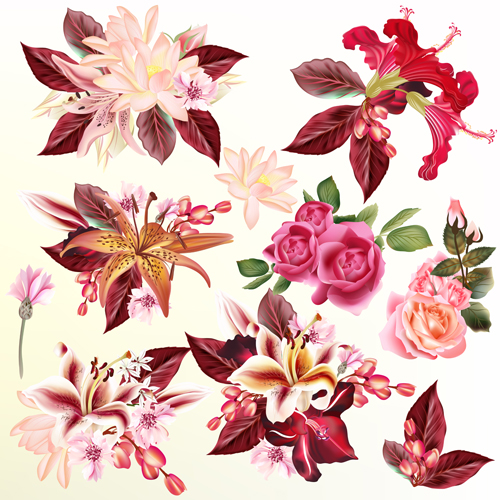 Flowers lily roseswith lotus and hibiscus vector set roseswith lotus lily hibiscus flowers and   