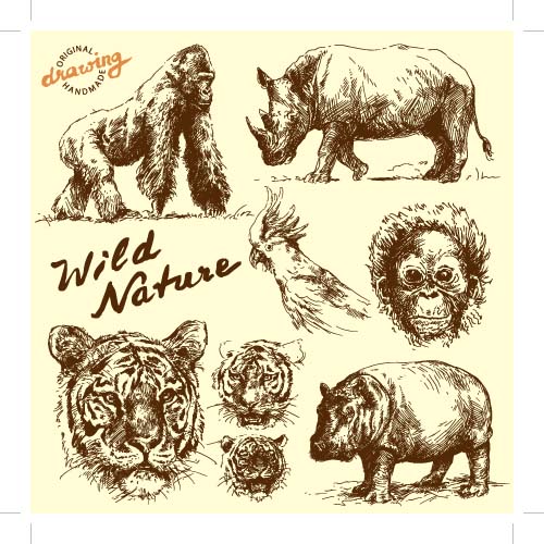 Wild animals hand drawing vectors set 06 wild Hand drawing animals   