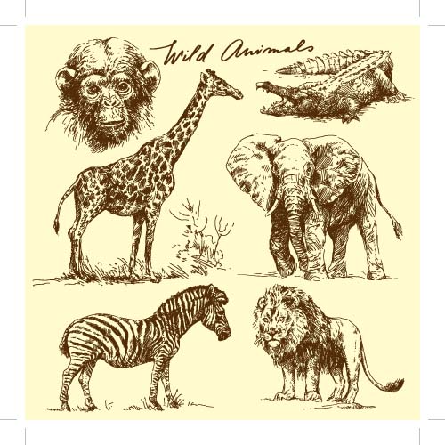 Wild animals hand drawing vectors set 05 wild Hand drawing animals   