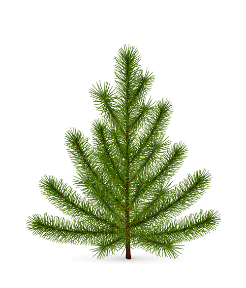 Christmas green fir 33914 material green fir-tree christmas   