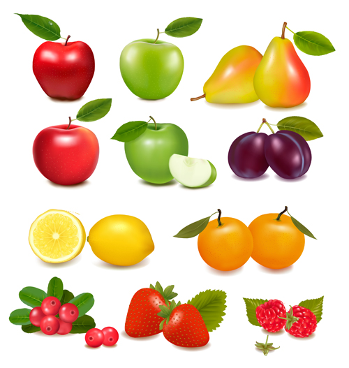 Fresh fruits realistic vector material 02 realistic fruits fresh   